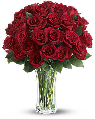 Red | Roses | Love And Devotion | Same Day Flower Delivery by Teleflora