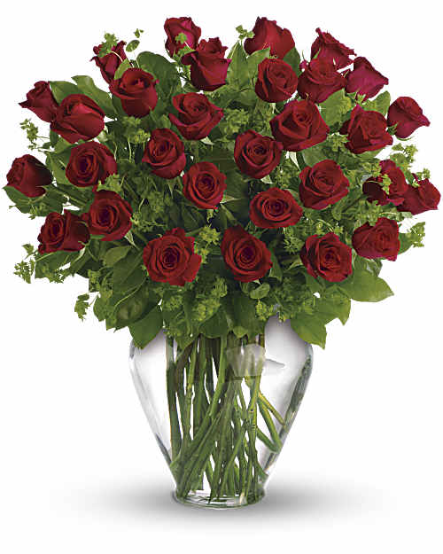 Red | Roses | My Perfect Love | Same Day Flower Delivery by Teleflora