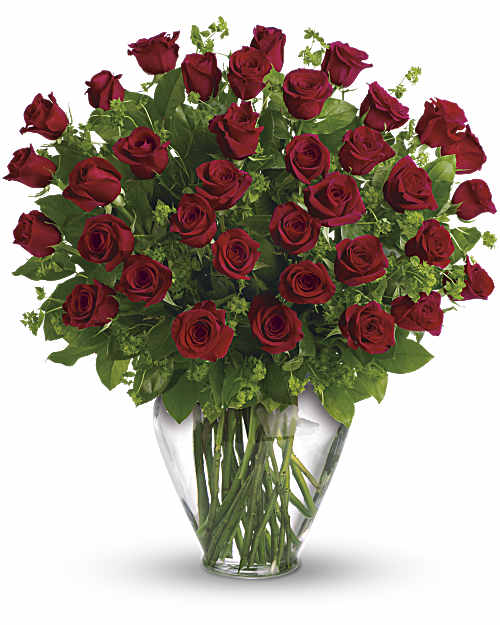 Red | Roses | My Perfect Love | Same Day Flower Delivery by Teleflora