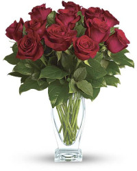 Red | Roses | Rose Classique | Same Day Flower Delivery by Teleflora