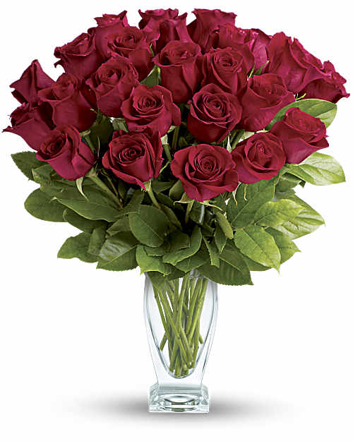 Red | Roses | Rose Classique | Same Day Flower Delivery by Teleflora