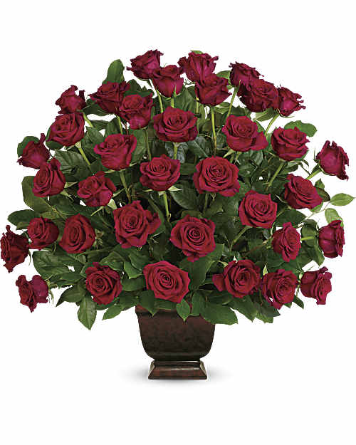 Red | Roses | Rose Tribute | Same Day Flower Delivery by Teleflora