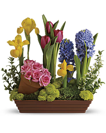 Spring Favorites | Mixed Bouquets | Same Day Flower Delivery | Multi-Colored | Teleflora