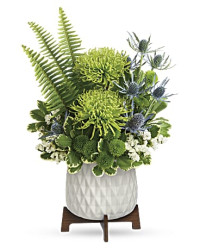 Style Statement Bouquet | Orchids | Same Day Flower Delivery | Multi-Colored | Teleflora