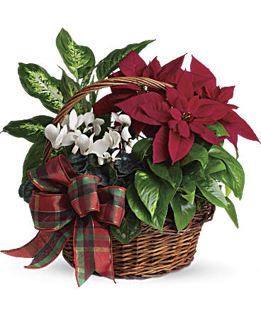 White | Mixed Bouquets | Holiday Homecoming Basket | Same Day Flower Delivery by Teleflora