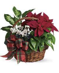 White | Mixed Bouquets | Holiday Homecoming Basket | Same Day Flower Delivery by Teleflora