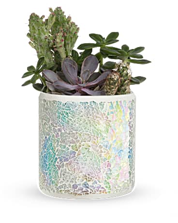 White | Mixed Bouquets | Iridescent Oasis Garden | Same Day Flower Delivery by Teleflora