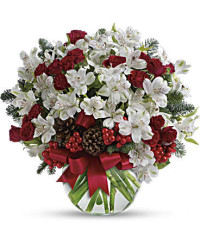 White | Alstroemeria | Let It Snow | Same Day Flower Delivery by Teleflora