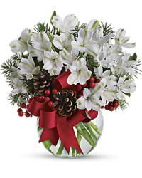 White | Alstroemeria | Let It Snow | Same Day Flower Delivery by Teleflora