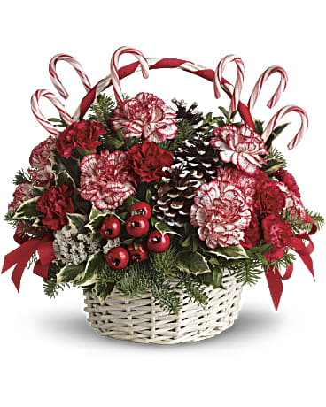 White | Carnations | Candy Cane Christmas | Same Day Flower Delivery by Teleflora