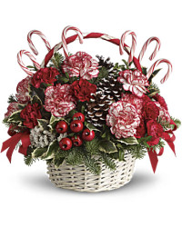 White | Carnations | Candy Cane Christmas | Same Day Flower Delivery by Teleflora