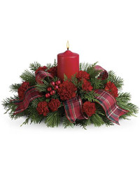 White | Carnations | Family Celebration | Same Day Flower Delivery by Teleflora