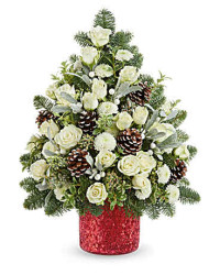 White | Chrysanthemums | Winter Whisper Tree | Same Day Flower Delivery by Teleflora