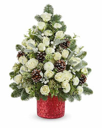 White | Chrysanthemums | Winter Whisper Tree | Same Day Flower Delivery by Teleflora