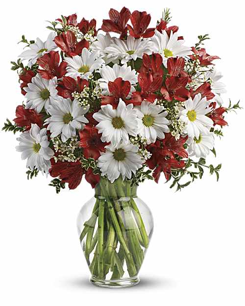 White | Mixed Bouquets | Dancing In Daisies Bouquet | Same Day Flower Delivery by Teleflora