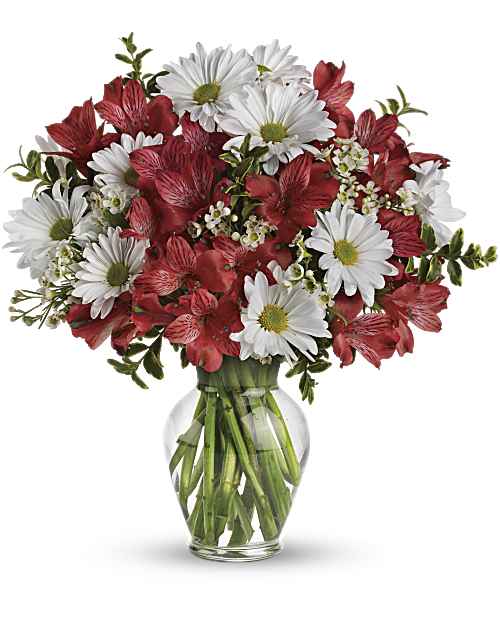 White | Mixed Bouquets | Dancing In Daisies Bouquet | Same Day Flower Delivery by Teleflora