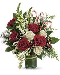 White | Mixed Bouquets | Festive Pines Bouquet | Same Day Flower Delivery by Teleflora