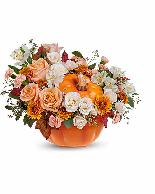 White | Mixed Bouquets | Hello Pumpkin Bouquet | Same Day Flower Delivery by Teleflora