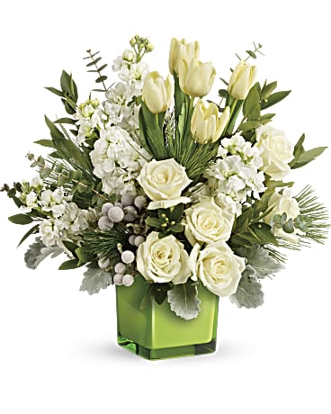 White | Mixed Bouquets | Winter Pop Bouquet | Same Day Flower Delivery by Teleflora