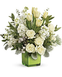 White | Mixed Bouquets | Winter Pop Bouquet | Same Day Flower Delivery by Teleflora