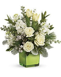 White | Mixed Bouquets | Winter Pop Bouquet | Same Day Flower Delivery by Teleflora