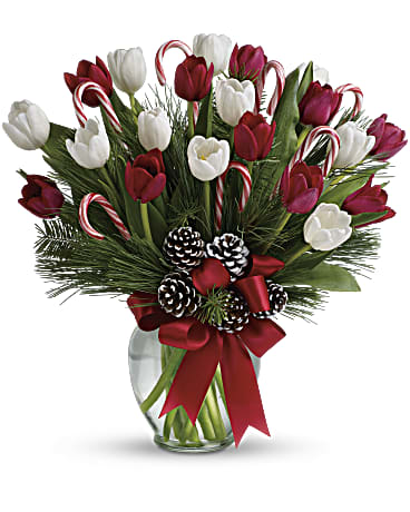 White | Tulips | By Golly, It's Jolly | Same Day Flower Delivery by Teleflora
