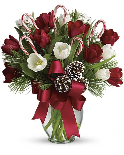 White | Tulips | By Golly, It's Jolly | Same Day Flower Delivery by Teleflora