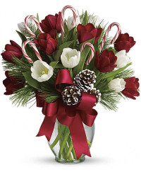 White | Tulips | By Golly, It's Jolly | Same Day Flower Delivery by Teleflora