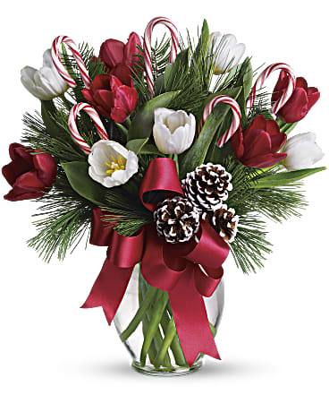 White | Tulips | By Golly, It's Jolly | Same Day Flower Delivery by Teleflora
