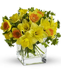 Yellow | Mixed Bouquets | Daffodil Dreams | Same Day Flower Delivery by Teleflora
