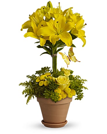 Yellow | Mixed Bouquets | Yellow Fellow | Same Day Flower Delivery by Teleflora