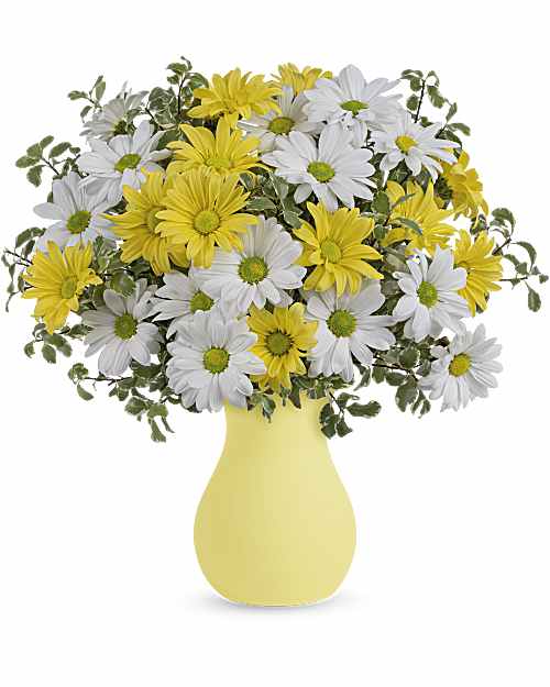 Yellow | Daisies | Upsy Daisy Bouquet | Same Day Flower Delivery by Teleflora