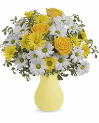 Yellow | Daisies | Upsy Daisy Bouquet | Same Day Flower Delivery by Teleflora