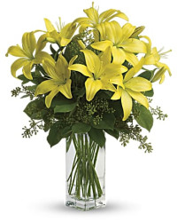 Yellow | Lilies | Lily Sunshine Bouquet | Same Day Flower Delivery by Teleflora