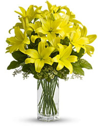 Yellow | Lilies | Lily Sunshine Bouquet | Same Day Flower Delivery by Teleflora
