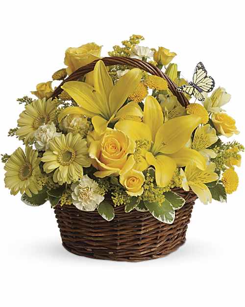 Yellow | Mixed Bouquets | Basket Full Of Wishes | Same Day Flower Delivery by Teleflora