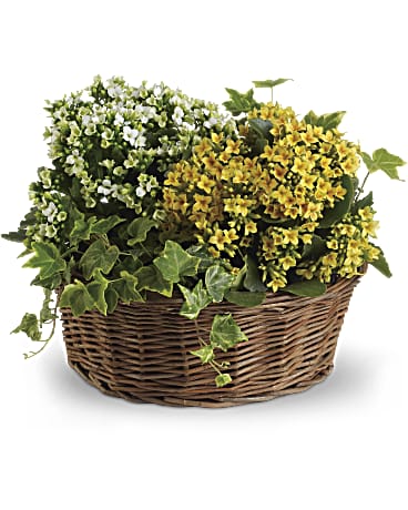 Yellow | Mixed Bouquets | Basket Of Joy | Same Day Flower Delivery by Teleflora