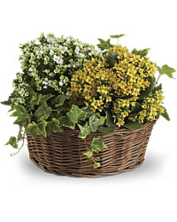 Yellow | Mixed Bouquets | Basket Of Joy | Same Day Flower Delivery by Teleflora