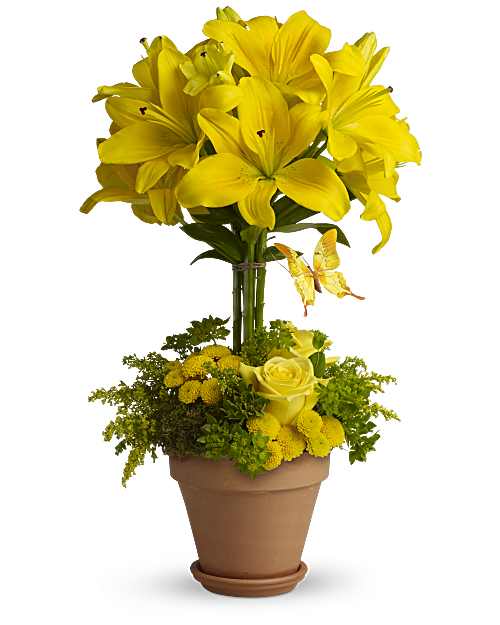 Yellow | Mixed Bouquets | Yellow Fellow | Same Day Flower Delivery by Teleflora