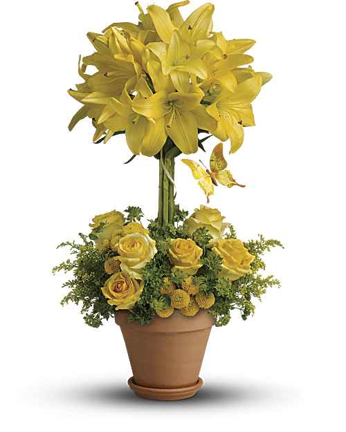Yellow | Mixed Bouquets | Yellow Fellow | Same Day Flower Delivery by Teleflora