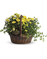 Yellow | Roses | Yellow Trio Basket | Same Day Flower Delivery by Teleflora