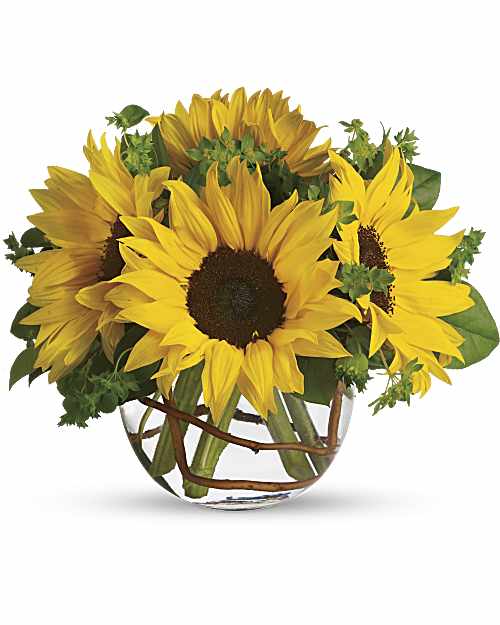 Yellow | Sunny Sunflowers Bouquet | Same Day Flower Delivery by Teleflora