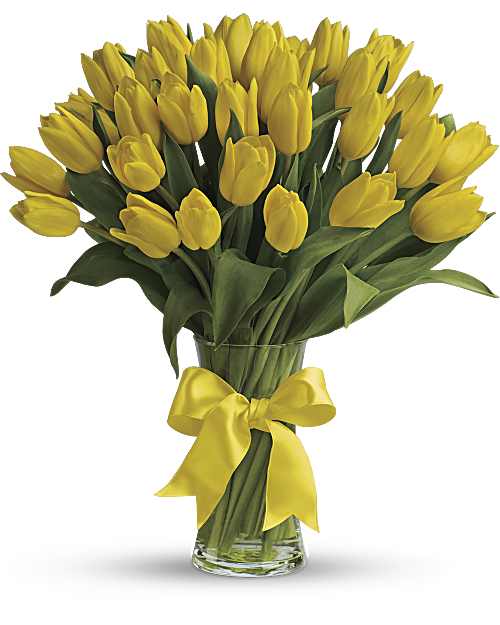 Yellow | Sunny Yellow Tulips Bouquet | Same Day Flower Delivery by Teleflora